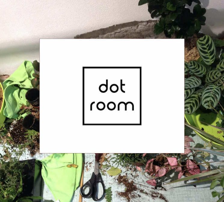 DOT ROOM | Le piante da acquistare e da coltivare